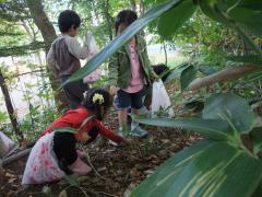 新さっぽろ英才幼児教室　栗拾い